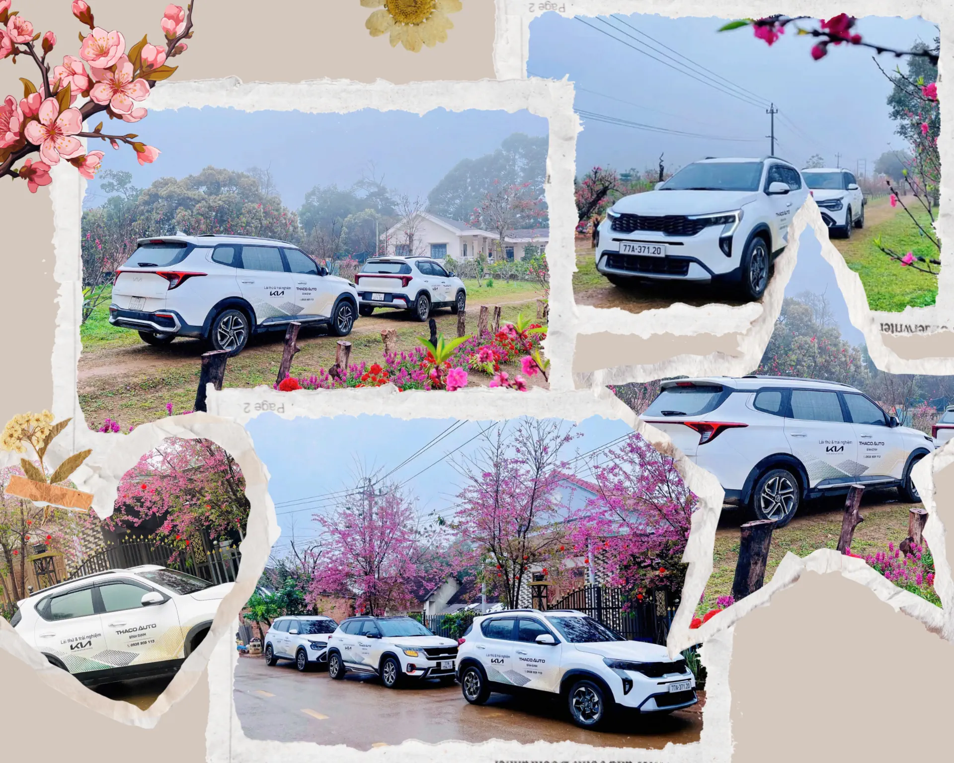 THACO AUTO Bình Định và hành trình kết nối quê hương Vĩnh Thạnh